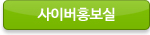 사이버홍보실